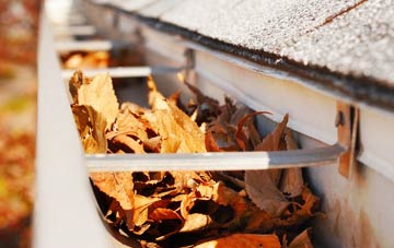 Bovinger gutter cleaning companies